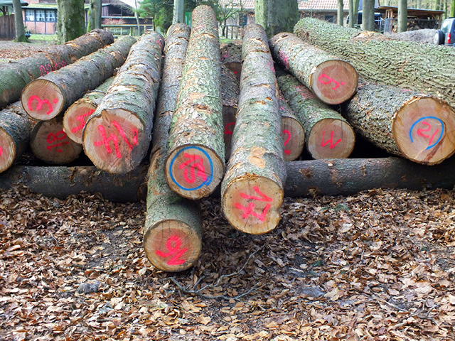 Projekt 2018: Handwerkerbrücke Hasenburger Mühlenbach